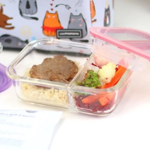 POTE COM DIVISORIA EM VIDRO E TAMPA EM PLASTICO 950 ML - CA12231-ROSA