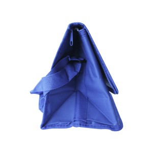 BOLSA TÉRMICA DE POLIESTER 13 LITROS COM ALÇA - CA15075-AZ