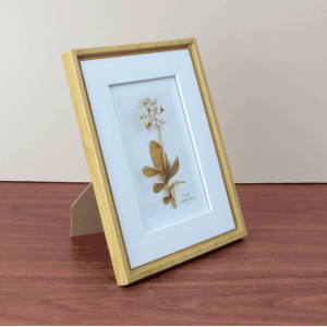 PORTA RETRATO DE PLÁSTICO 10X15CM - SXPX14257