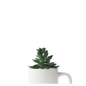 ENFEITE NA CANECA COM PLANTA ARTIFICIAL SUCULENTA  5.4X6CM - GDR0410-H